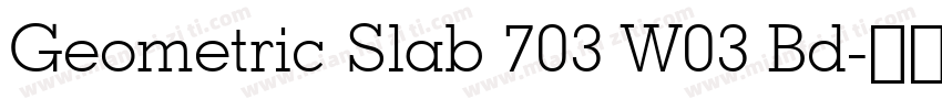 Geometric Slab 703 W03 Bd字体转换